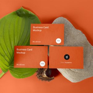 Free cards and coupon