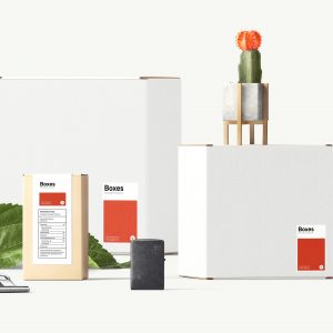 Beautiful Boxes Mockup Scene